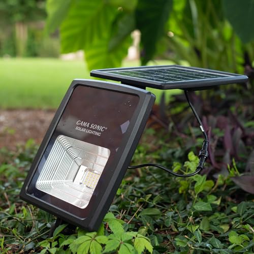 Dual Color Solar Flood Light