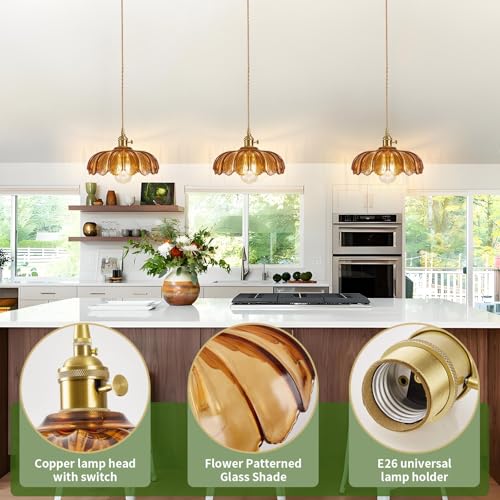 Plug in Pendant Light