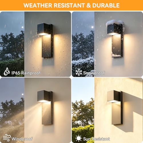 2 Pack Modern LED Outdoor Wall Light (Black)