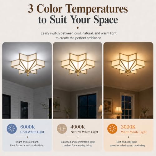 Star Shaped Ceiling Light Fixture