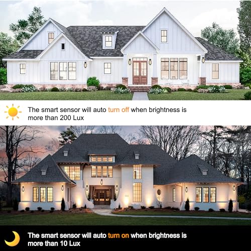 Modern Outdoor Wall Lights 2 Pack (2 Count)