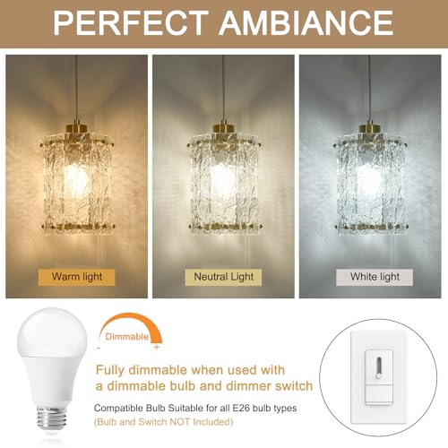 Gold Water Ripple Glass Pendant Lights 3 (3 Count)