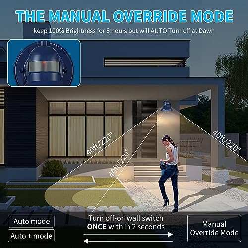 Motion Sensor Outdoor LED Wall Sconce Dusk to Dawn Exterior Barn Lighting