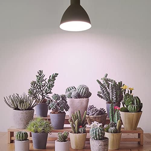 Smart Grow Light Bulbs for Indoor Plants (6 Count)