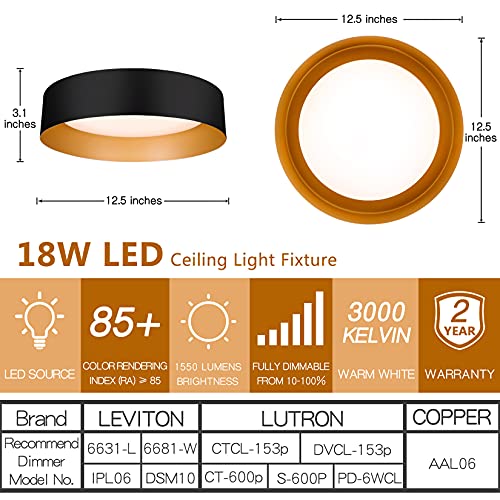 Flush Mount Ceiling Light