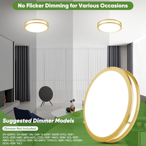 13 Inch Flush Mount Light Fixtures (2 Count)