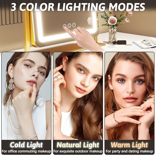 Vanity Mirror with Lights 22 Inch