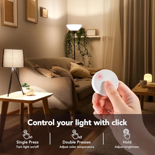 Smart Edison Light Bulbs with WiFi ST19 (4 Count)
