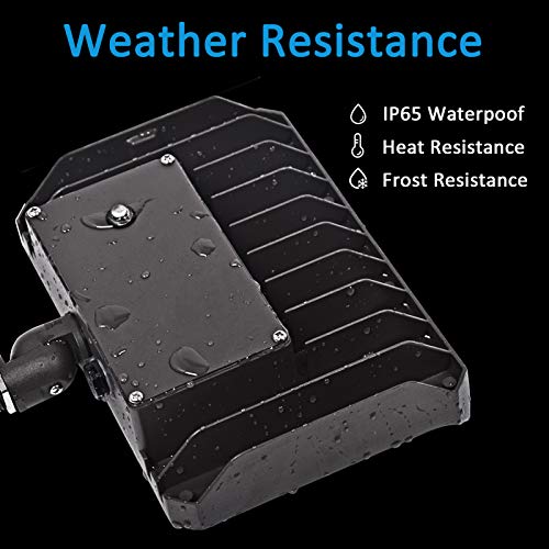 40W LED Flood Light (2 Count)