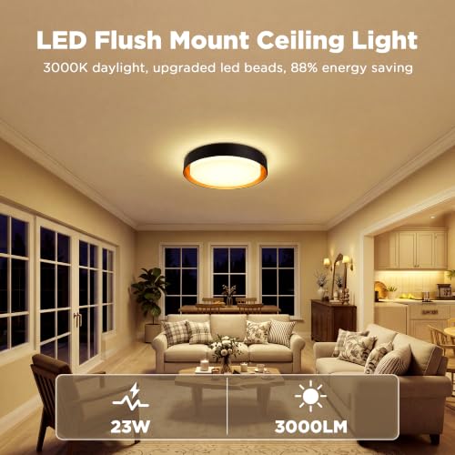 Flush Mount Ceiling Light (Matte Black)