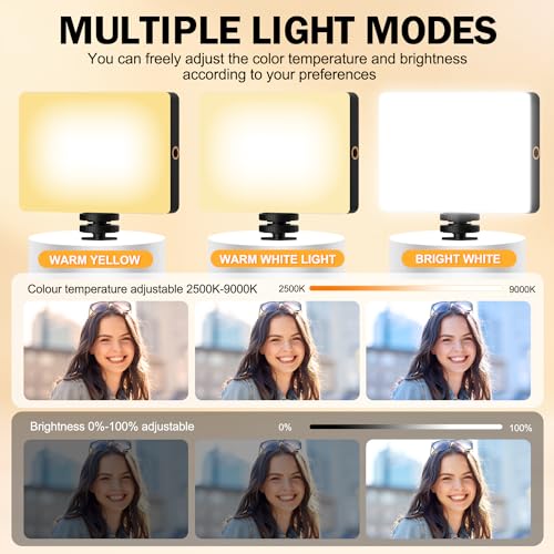 120 LED Selfie Light for iPhone