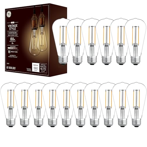 Vintage Style ST19 LED Light Bulb (16 Count)