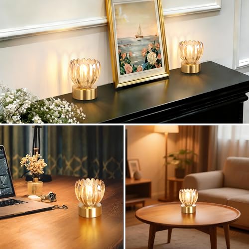 Cordless Small Table Lamp with 5200mAh Battery & Touch Control
