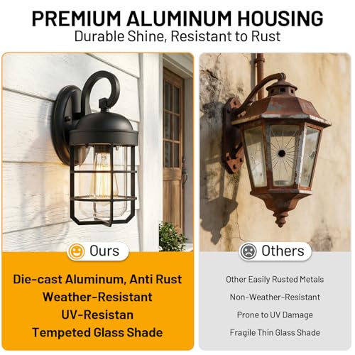 Outdoor Wall Light Fixtures for House (2 Count)