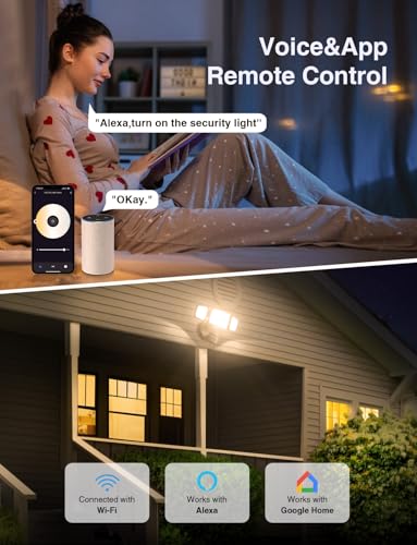 65W Smart Outdoor Security Lights with Motion Sensor (Black)