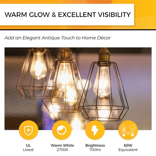 Edison Bulbs Dimmable (18 Count)