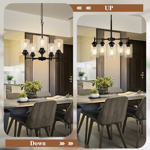 D19.8" Chandelier for Dining Room