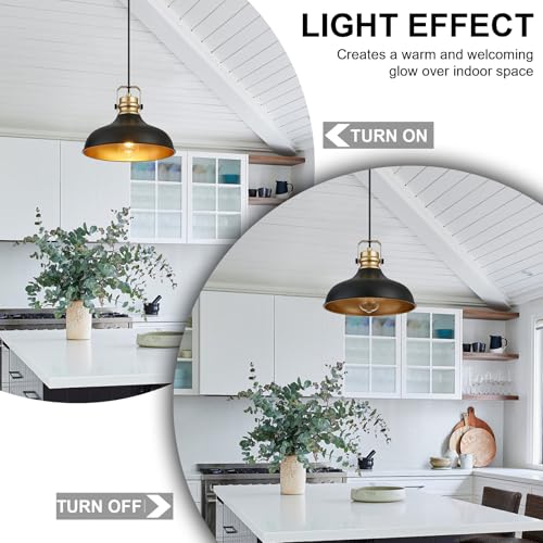 Black and Gold Pendant Lights Kitchen Island Fixtures