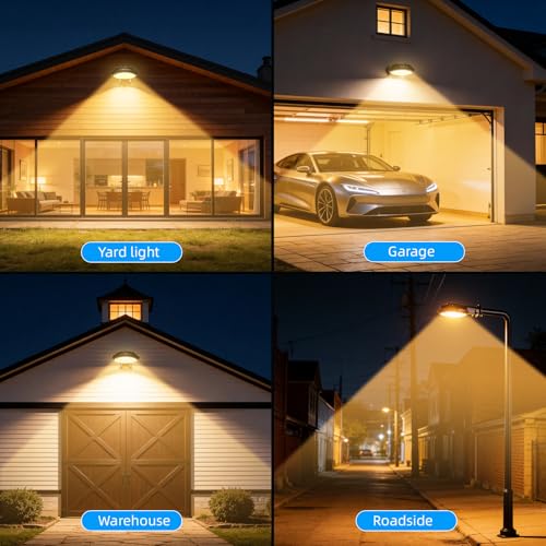 100W LED Barn Light with 10000LM 5000K Warm Light