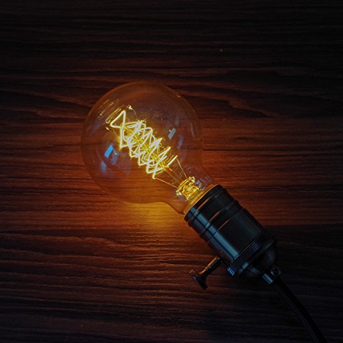 4 Pack Edison Light Bulbs 60 Watt Dimmable G80 Vintage Warm Bulbs (4 Count)