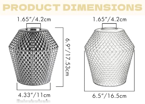 2Pcs Small Glass Lamp Shades (2 Count)