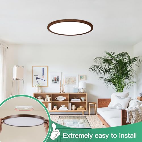 LED Flush Mount Ceiling Light Fixture Oil Rubbed Bronze