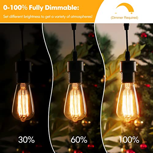 60 Watt Incandescent Edison Light Bulbs (4 Count)