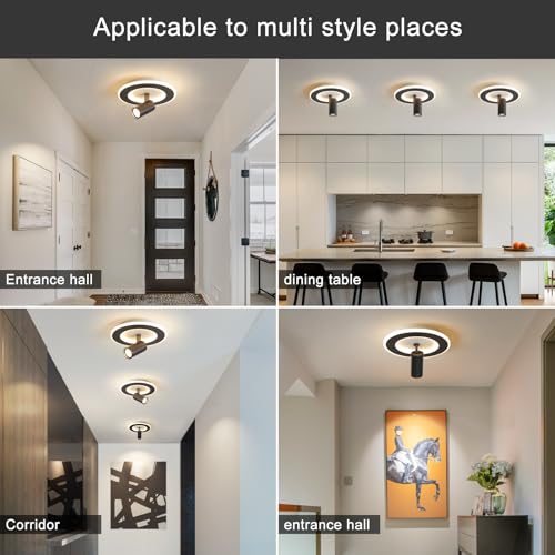 Modern LED Ceiling Lights with 1 Spotlight 9.8Inch Black Ceiling Light with Remote Control Dimmable 3000k