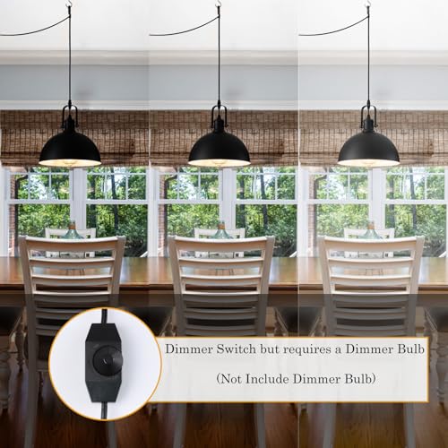 Plug in Pendant Light