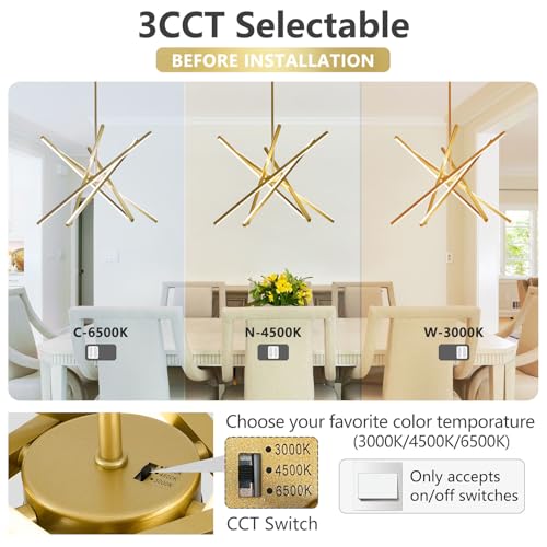 Modern Gold Chandelier Light Fixtures