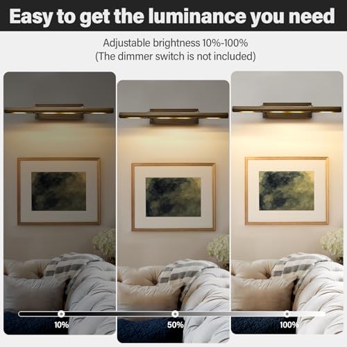 Antiquing Art Picture Frame Wall Light