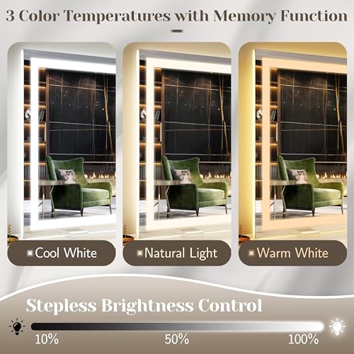 Large Vanity Mirror with Lights