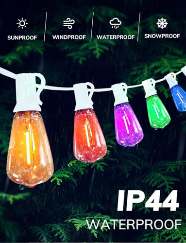 Colored Outdoor String Lights White Cord