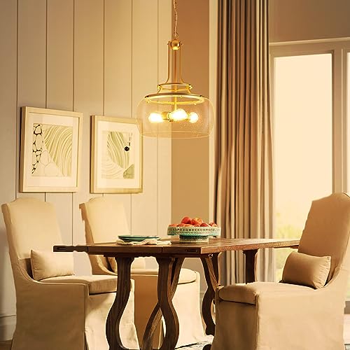 Chandelier Rustic Farmhouse Industrial Round Ceiling Pendant LED Light Fixture Clear Seeded Glass Shade for Dining Room Kitchen Island Foyer Entryway