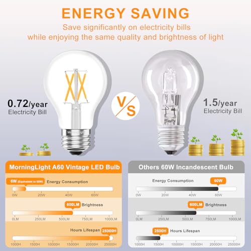 Vintage LED Edison Light Bulbs 60 Watt (6 Count)