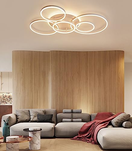 Chaners Ceiling Light LED Ceiling Light Ring Design Lighting Dimmable with Remote Control Lights for Living Room Bedroom Hallway