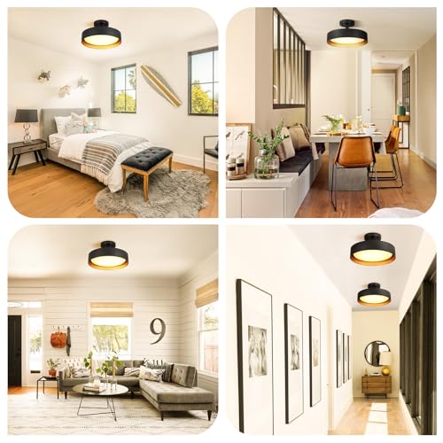 Semi Flush Mount LED Ceiling Light 3000K