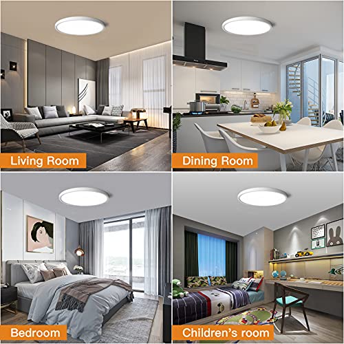 Dimmable Flush Mount Ceiling Light