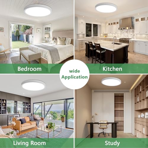 20 Inch Large LED Flush Mount Ceiling Light