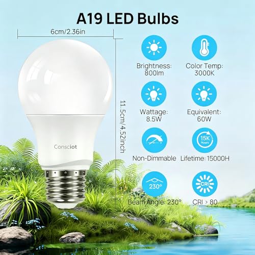 A19 LED Light Bulb (5 Count)