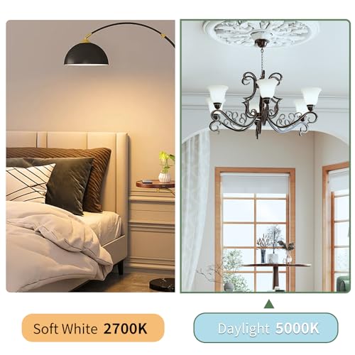 A19 LED Light Bulbs (4 Count)