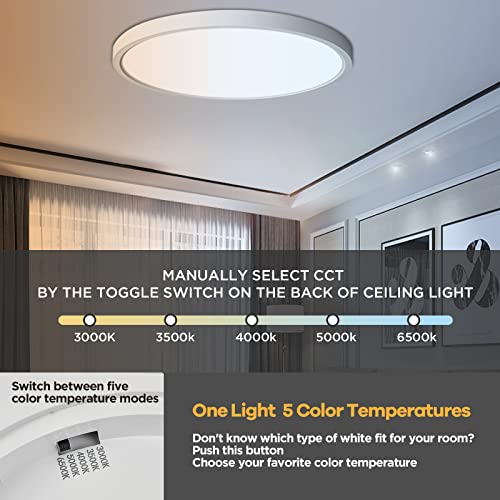 Dimmable Flush Mount Ceiling Light