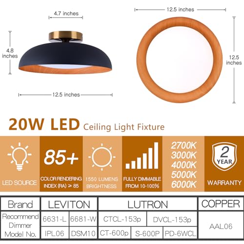 Flush Mount Ceiling Light