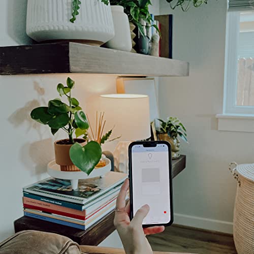 A19 LED Smart LED Light Bulb