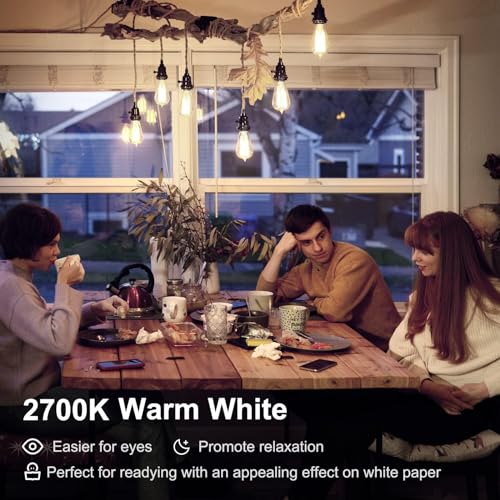 24 Pack Edison LED Light Bulbs (24 Count)