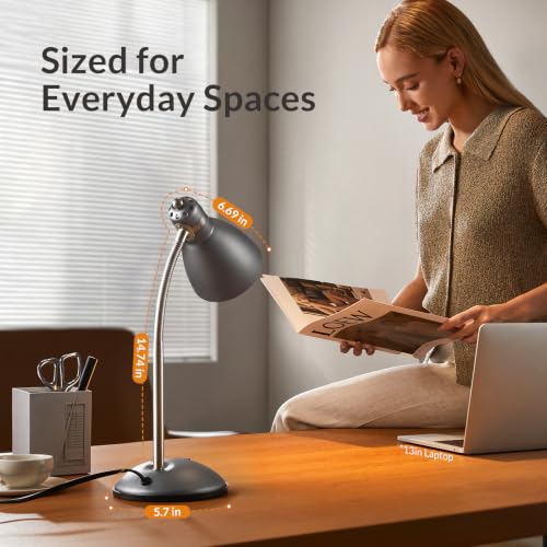 Metal Desk Lamp