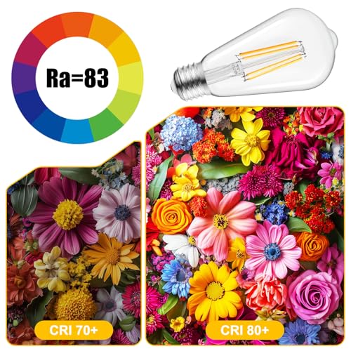 6Pack Edison Light Bulbs (6 Count)
