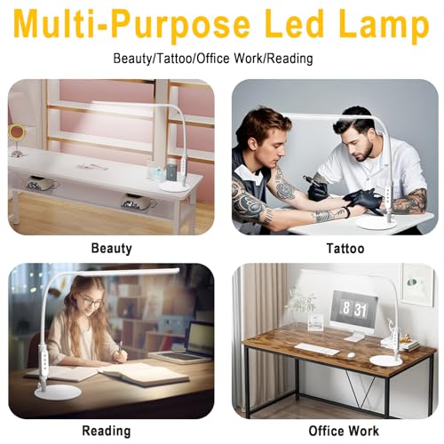 LED Desk Lamp