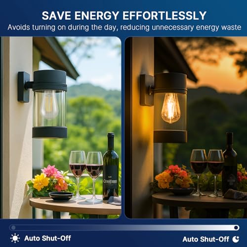 Dusk to Dawn Outdoor Sensor ST19 LED Light Bulb (2 Count)