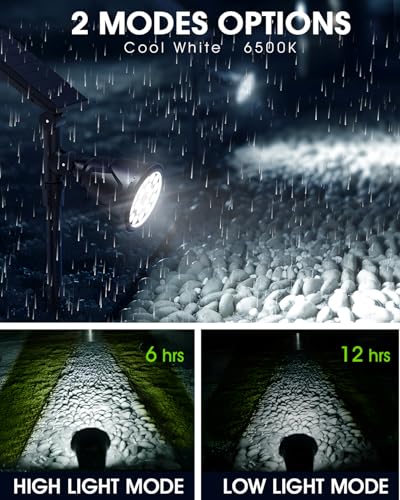 Solar Outdoor Lights (4 Count)